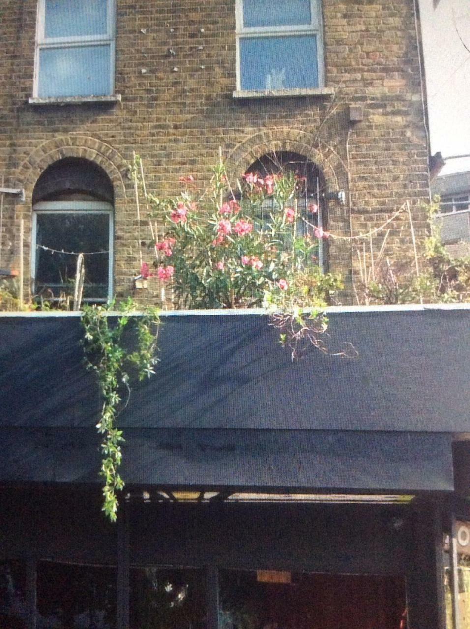 Gorgeous Roof Garden Flat Lägenhet London Exteriör bild
